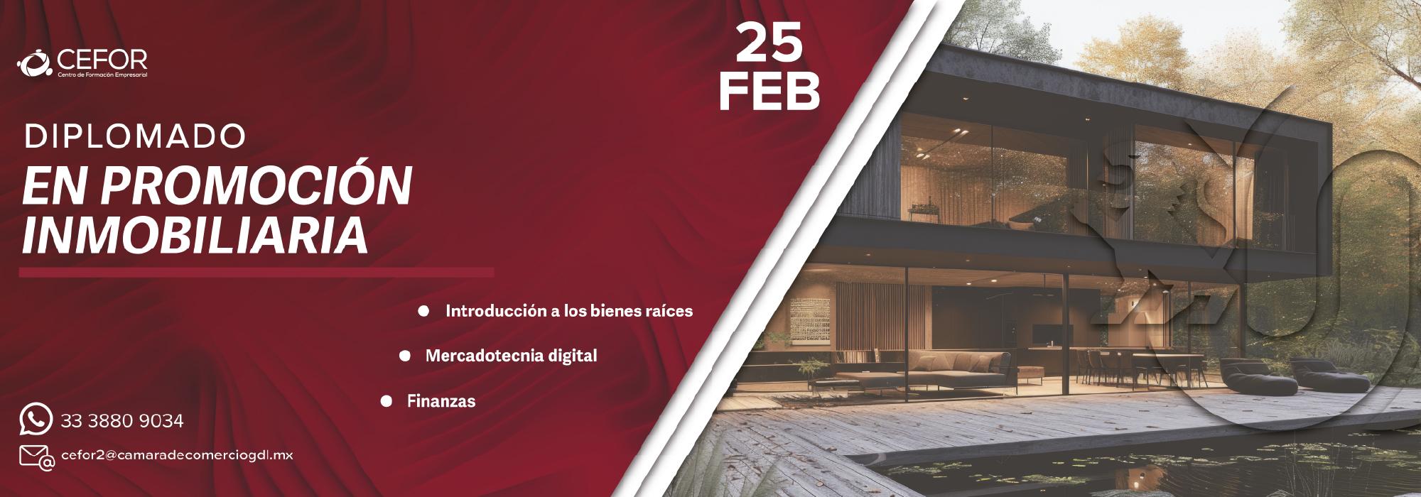 Promoción Inmobiliaria