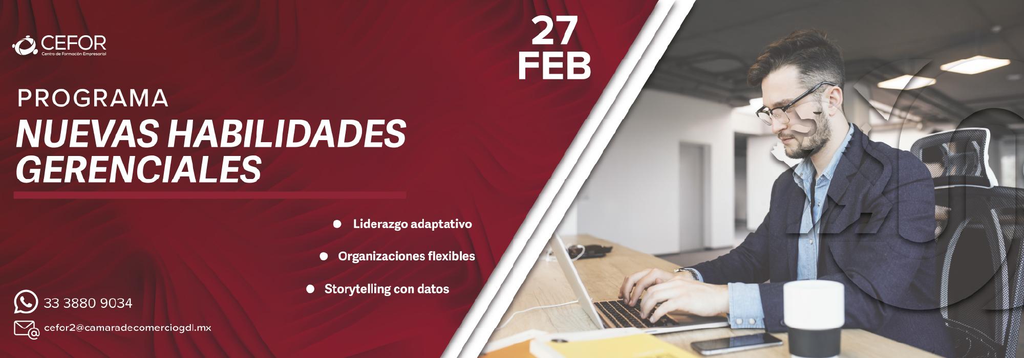 Nuevas Habilidades Gerenciales