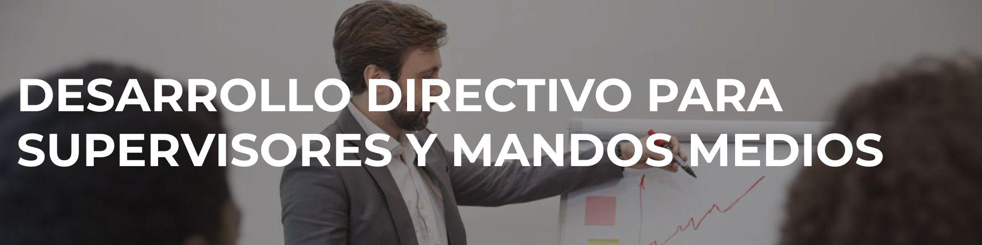 Desarrollo directivo para supervisores y mandos medios