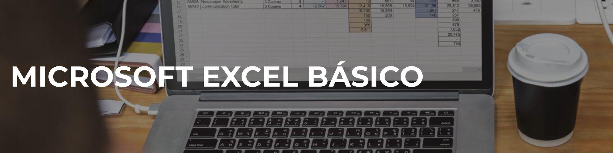 Microsoft Excel Básico