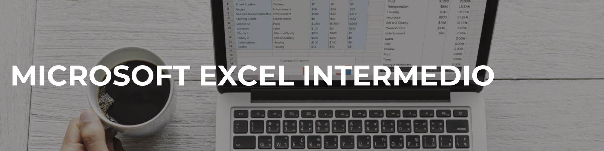 Microsoft Excel Intermedio