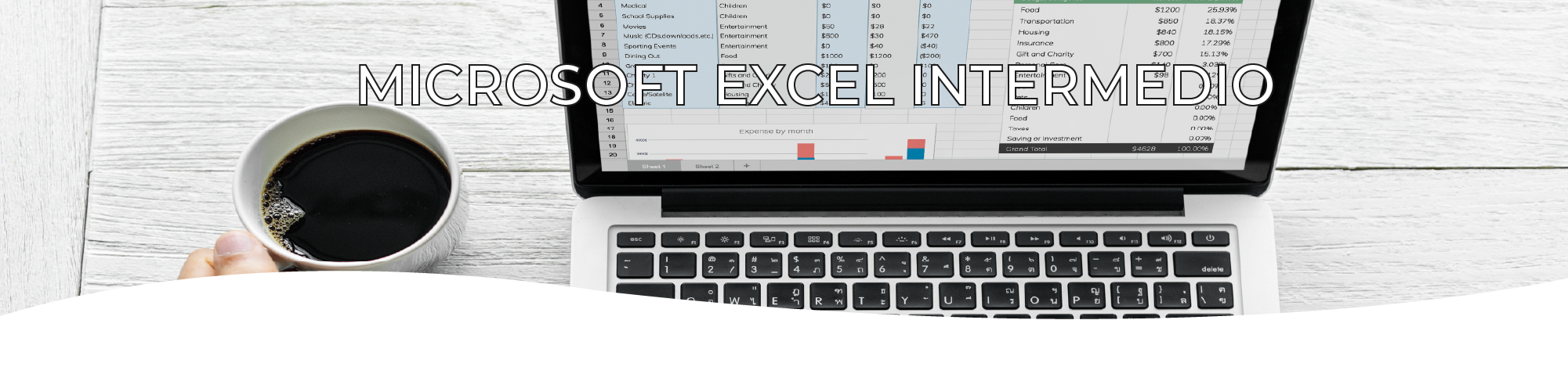 Microsoft Excel Intermedio