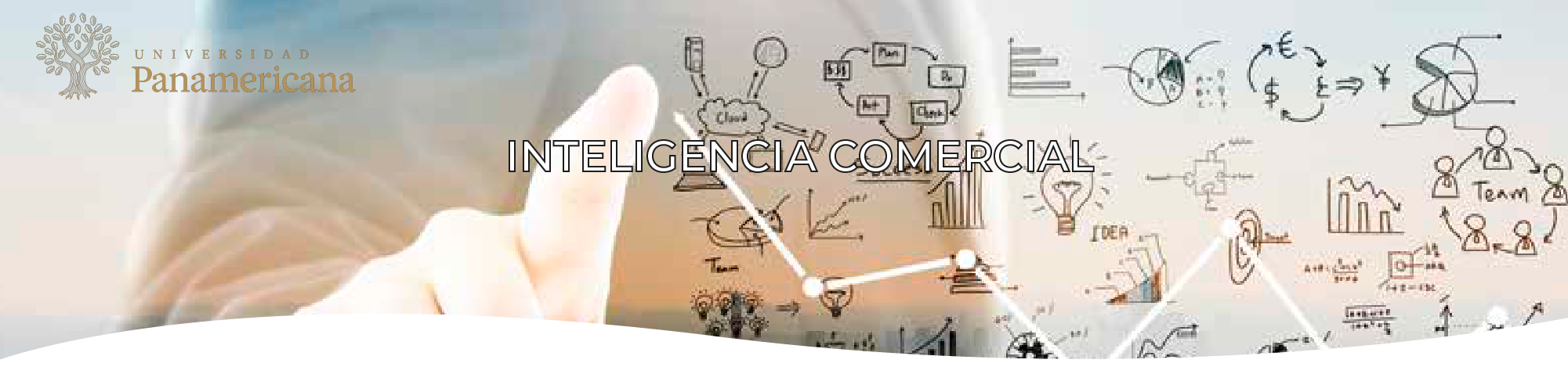 Seminario Inteligencia Comercial