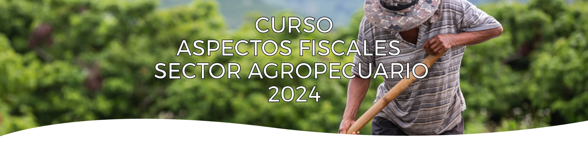 Aspectos fiscales del Sector Agropecuario 2024